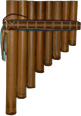 Paya